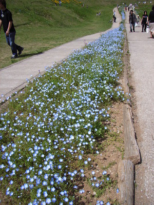 f:id:NAT:20060506125600j:image