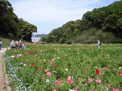 f:id:NAT:20060506125813j:image