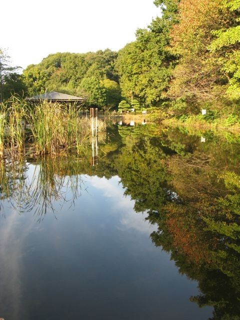 久良岐公園の大池