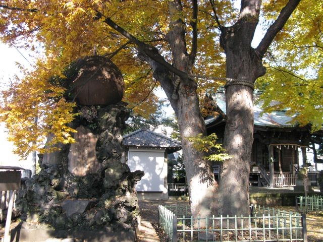 f:id:NAT:20081201000805j:image:w400