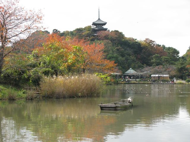 f:id:NAT:20081201001146j:image:w400