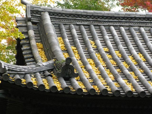 f:id:NAT:20081201001147j:image:w400