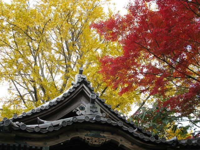 f:id:NAT:20081201001151j:image:w400