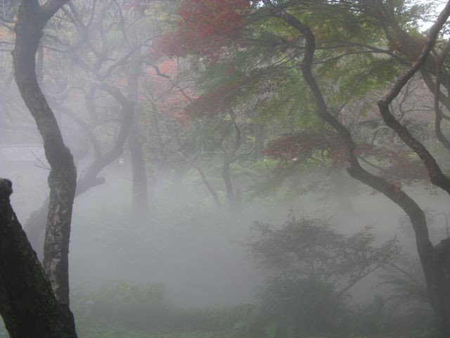 f:id:NAT:20081201001153j:image:w400