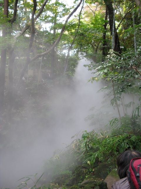 f:id:NAT:20081201001154j:image:h400