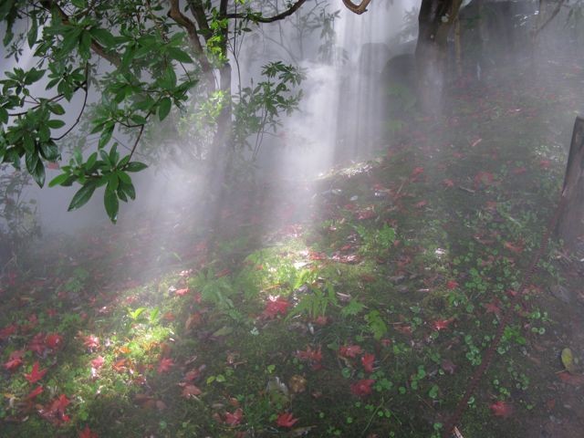 f:id:NAT:20081201001155j:image:w400
