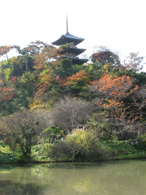 f:id:NAT:20081201001158j:image:h400