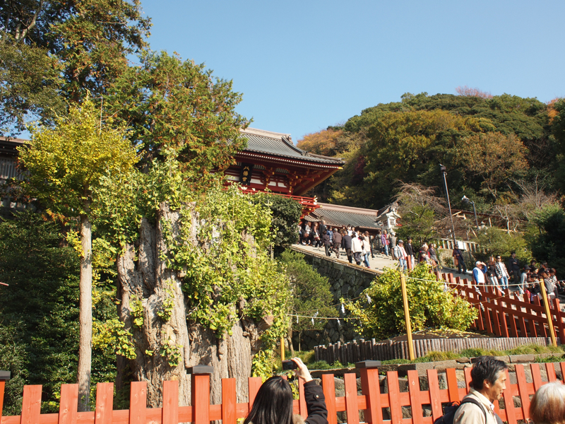 f:id:NAT:20101127211945j:image:w600 f:id:NAT:20101127211945j:image:w600