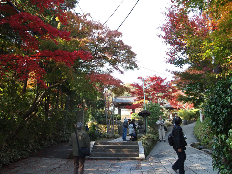 f:id:NAT:20101127211947j:image:w600 f:id:NAT:20101127211947j:image:w600