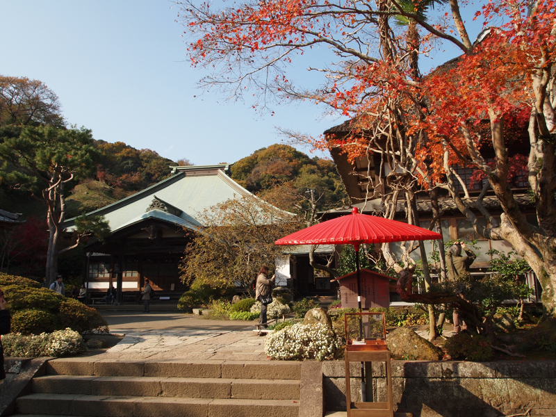 f:id:NAT:20101127211948j:image:w600 f:id:NAT:20101127211948j:image:w600