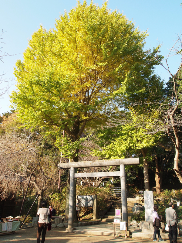 f:id:NAT:20101127211954j:image:h600 f:id:NAT:20101127211954j:image:h600