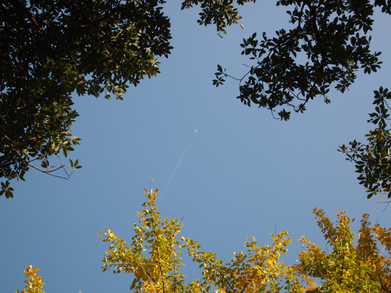 f:id:NAT:20101127211956j:image:w600 f:id:NAT:20101127211956j:image:w600