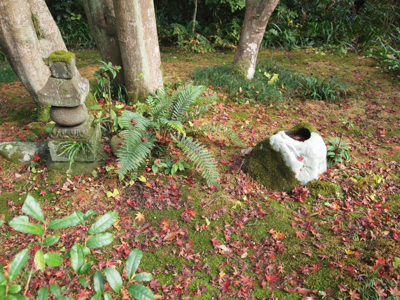 f:id:NAT:20101127212001j:image:w600 f:id:NAT:20101127212001j:image:w600