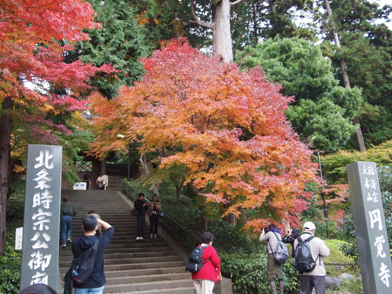 f:id:NAT:20101127212004j:image:w600 f:id:NAT:20101127212004j:image:w600