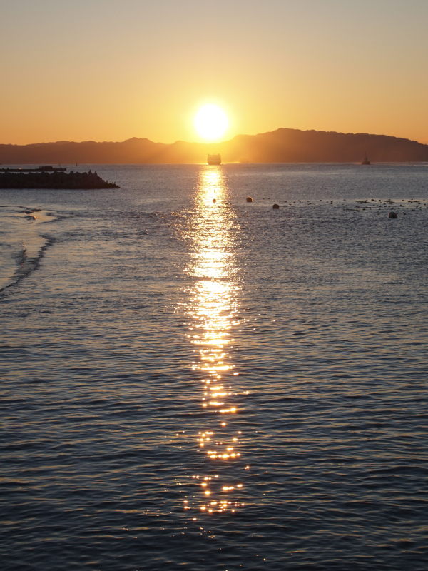 f:id:NAT:20110101090728j:image:h600