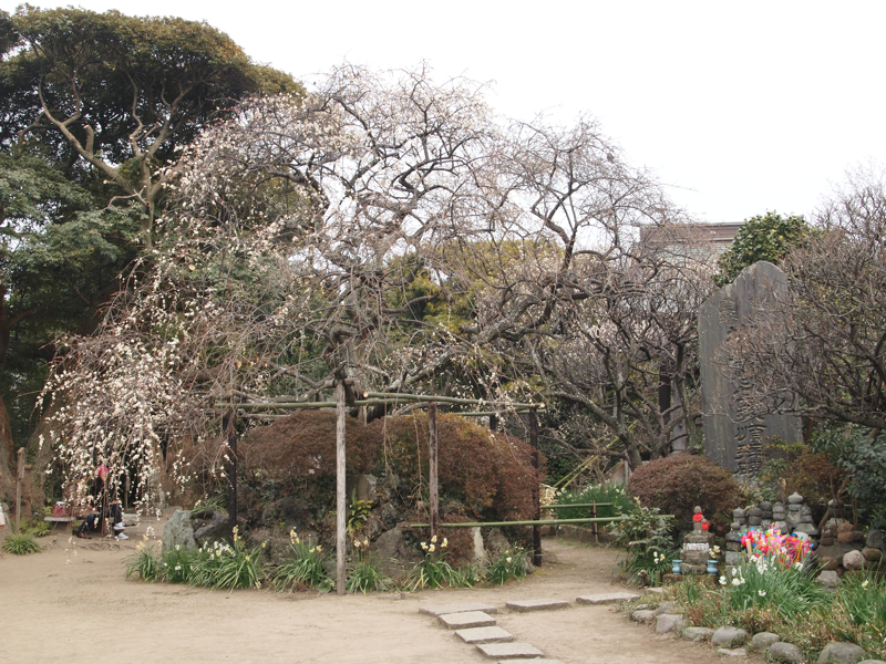 f:id:NAT:20110206175741j:image:w400