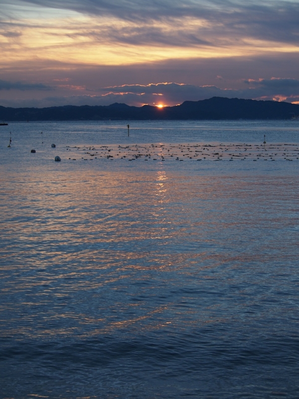 f:id:NAT:20130101092954j:image:h640