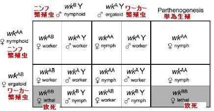 f:id:NATROM:20080215174226j:image