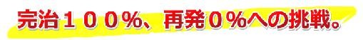 f:id:NATROM:20100112163816j:image