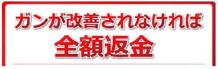 f:id:NATROM:20100112163819j:image