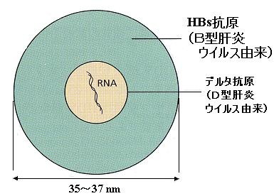f:id:NATROM:20100119153408j:image