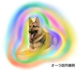 20100125172128