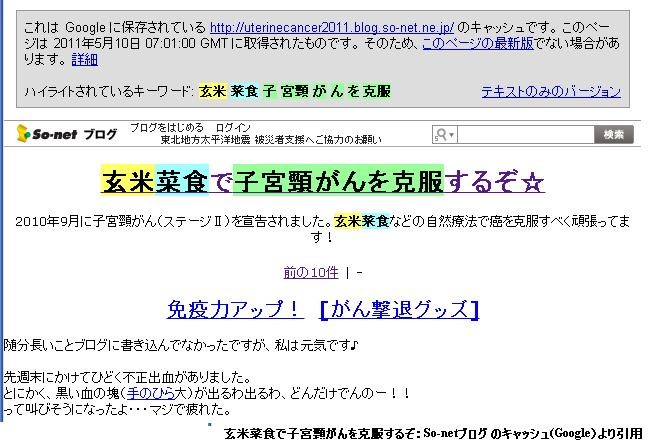 f:id:NATROM:20110728152921j:image
