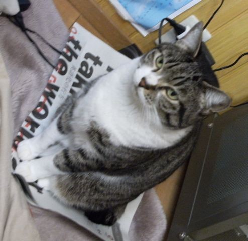 f:id:NATROM:20120305165838j:image f:id:NATROM:20120305165838j:image