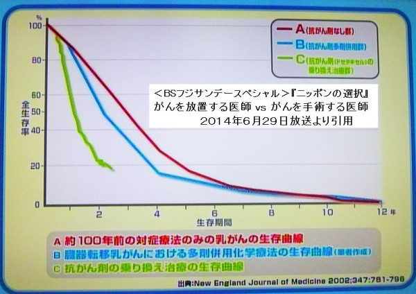 f:id:NATROM:20140716174059j:image