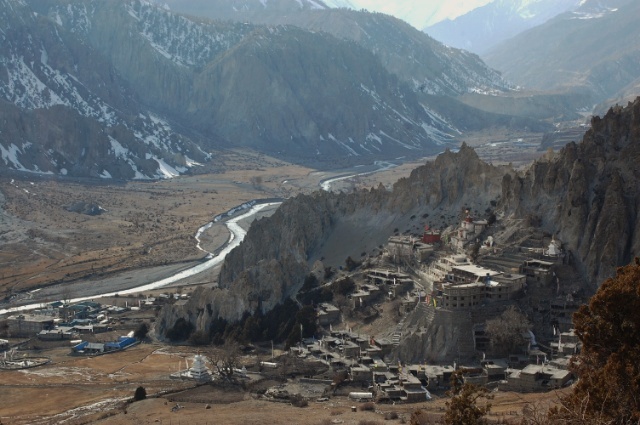 f:id:NATURALLIFEYOGA:20200310202107j:plain f:id:NATURALLIFEYOGA:20200310202107j:plain