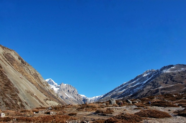 f:id:NATURALLIFEYOGA:20200313200727j:plain