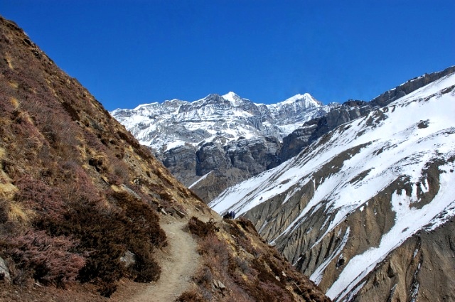 f:id:NATURALLIFEYOGA:20200313201234j:plain