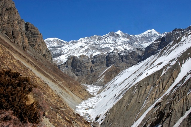 f:id:NATURALLIFEYOGA:20200313201509j:plain