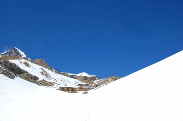 f:id:NATURALLIFEYOGA:20200313201828j:plain