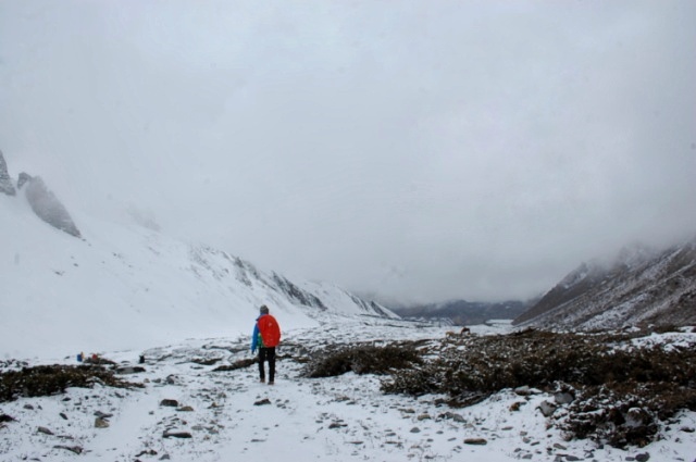 f:id:NATURALLIFEYOGA:20200313202914j:plain