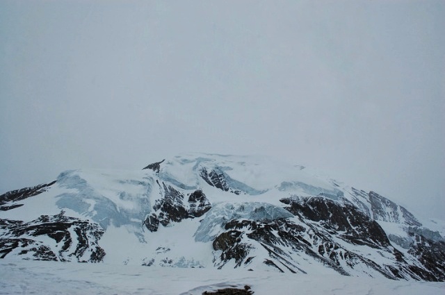 f:id:NATURALLIFEYOGA:20200313203625j:plain