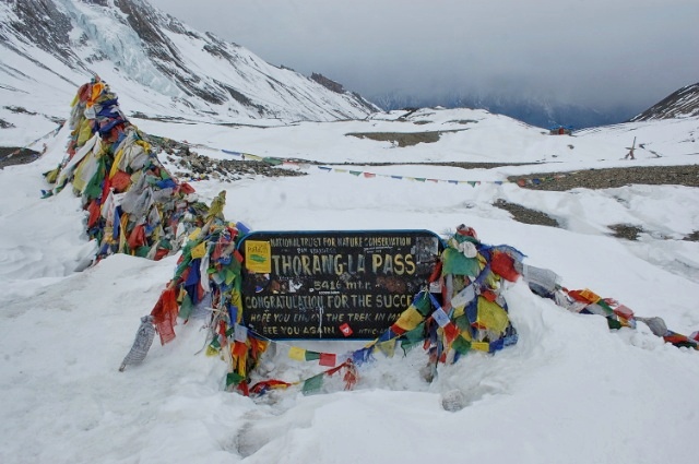 f:id:NATURALLIFEYOGA:20200313203829j:plain