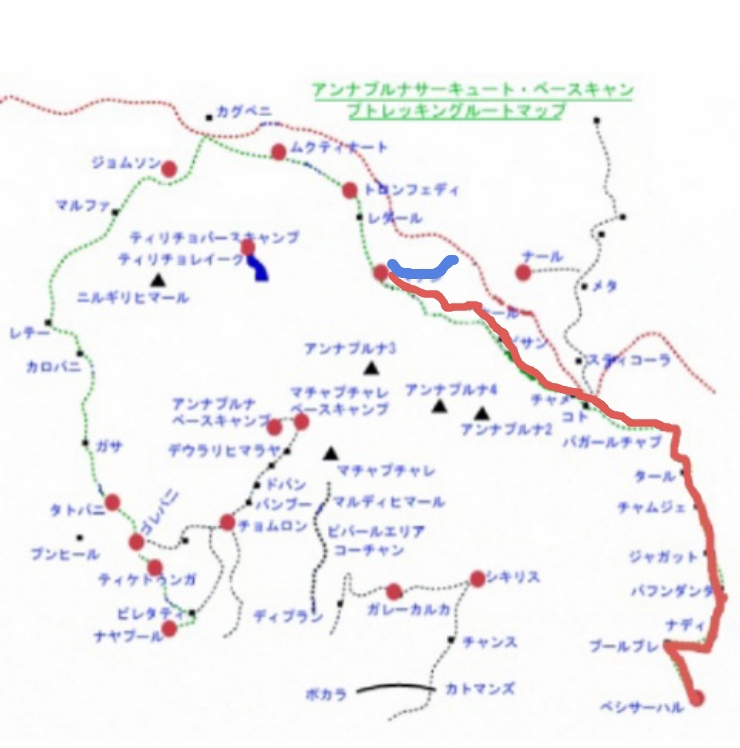 f:id:NATURALLIFEYOGA:20200314010937j:plain f:id:NATURALLIFEYOGA:20200314010937j:plain