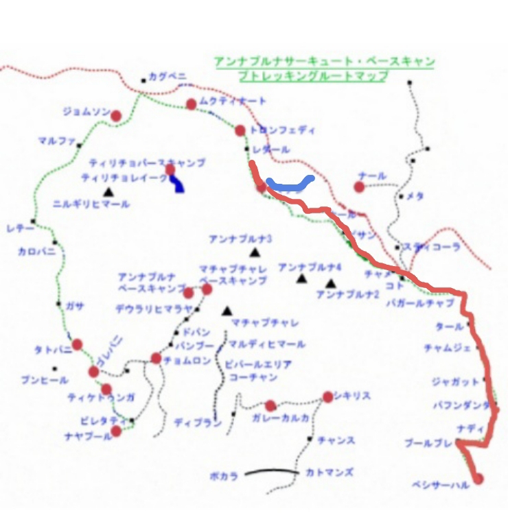 f:id:NATURALLIFEYOGA:20200314011337j:plain f:id:NATURALLIFEYOGA:20200314011337j:plain