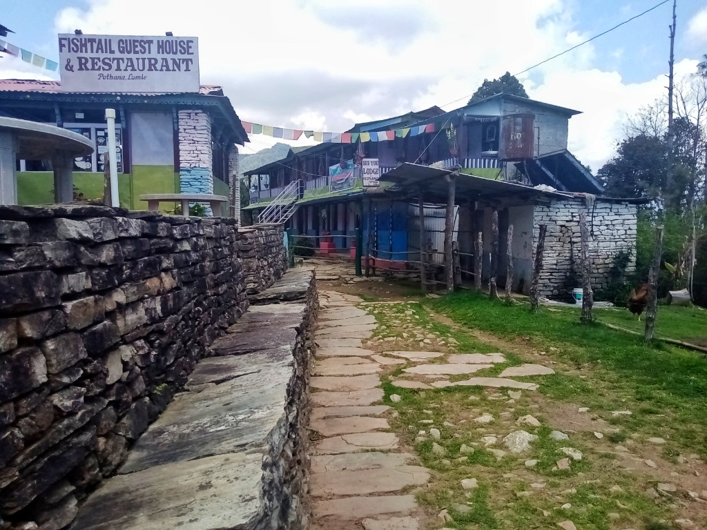 f:id:NATURALLIFEYOGA:20200406161756j:plain f:id:NATURALLIFEYOGA:20200406161756j:plain