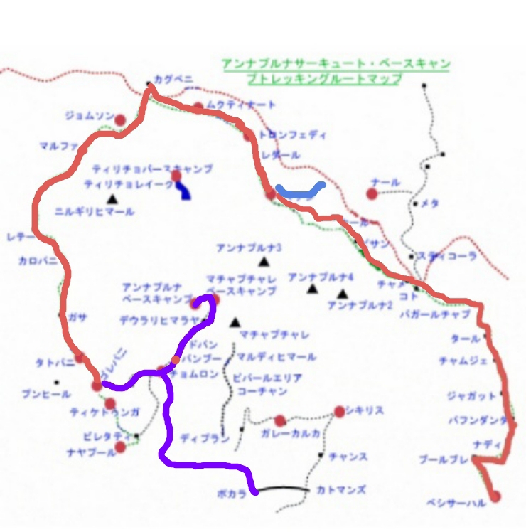 f:id:NATURALLIFEYOGA:20200406161838j:plain f:id:NATURALLIFEYOGA:20200406161838j:plain