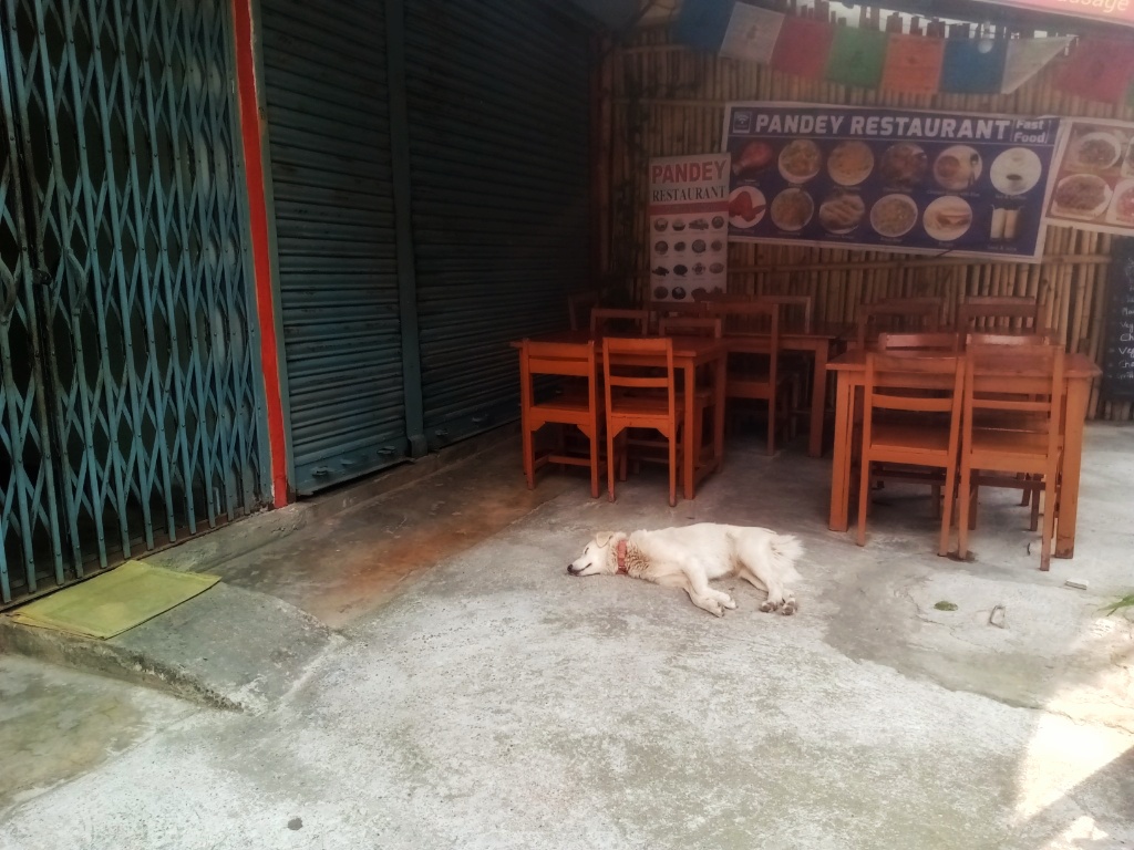 f:id:NATURALLIFEYOGA:20200413170106j:plain