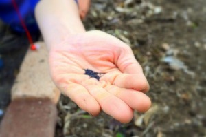 f:id:NATURALLIFEYOGA:20220408215536j:plain