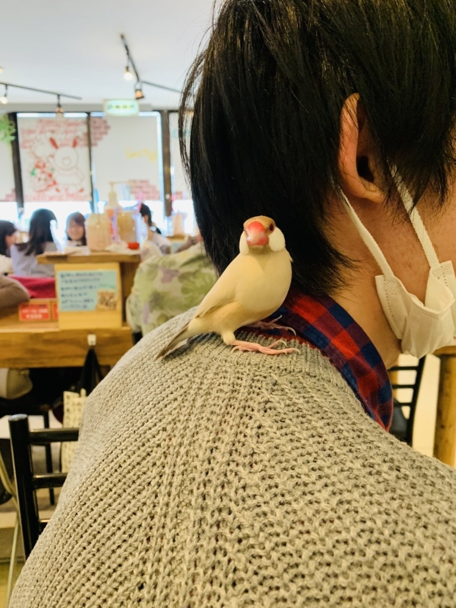 f:id:NATYUBI-maho:20190912184511j:plain f:id:NATYUBI-maho:20190912184511j:plain