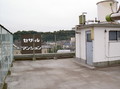 20080728161556