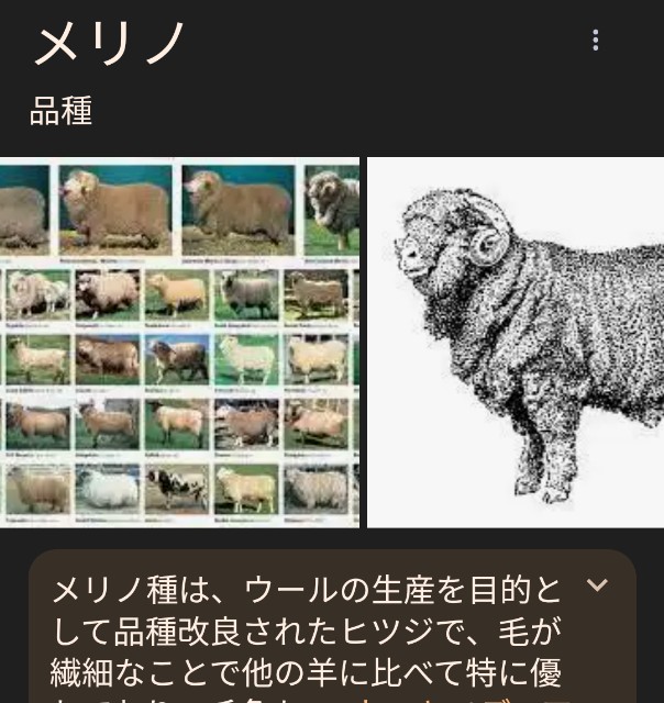 f:id:NBworks:20241030091518j:image