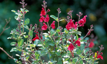 f:id:NCOM:20110417171044j:image f:id:NCOM:20110417171044j:image