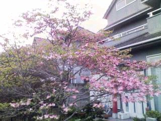 f:id:NCOM:20110425014037j:image