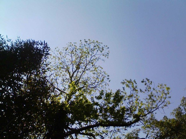 f:id:NCOM:20110425201558j:image