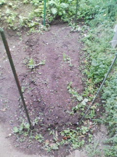 f:id:NCOM:20110506105226j:image